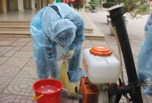 Diệt Côn Trùng Bình Minh Green – Công Ty TNHH Bình Minh Green