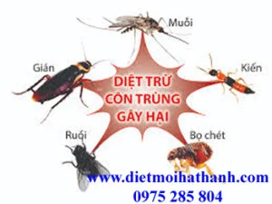 Diệt Mối Hà Thành – Công Ty Cổ Phần Dịch Vụ Và Xây Dựng THT Việt Nam