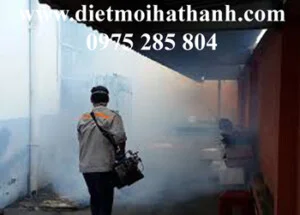 Diệt Mối Hà Thành – Công Ty Cổ Phần Dịch Vụ Và Xây Dựng THT Việt Nam