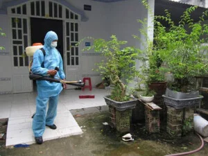 Diệt Côn Trùng Bình Minh Green – Công Ty TNHH Bình Minh Green