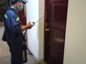 Diệt Mối Hiệp Toàn Phát – Công Ty TNHH TM DV Đầu Tư Hiệp Toàn Phát