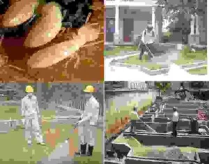 Công Ty Cổ Phần Xây Dựng Và Du Lịch Minh Anh