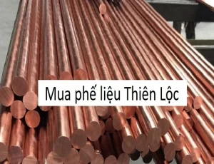 Công Ty TNHH MTV Thiên Lộc