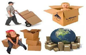 CTX Logistics – Công Ty Cổ Phần Dịch Vụ Quốc Tế CTX