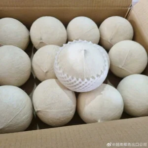 Nông Sản Tuệ Hương – Công Ty TNHH Xuất Nhập Khẩu Tuệ Hương