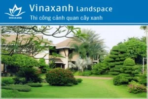 Cây Cảnh Vinaxanh – Công Ty TNHH Dịch Vụ VINAXANH