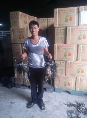 Diệt Côn Trùng Quang Minh – Công Ty TNHH Thương Mại Công Nghiệp Quang Minh
