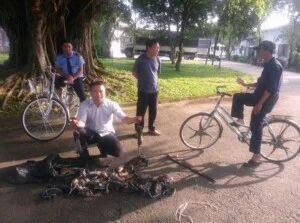 Diệt Côn Trùng Quang Minh – Công Ty TNHH Thương Mại Công Nghiệp Quang Minh