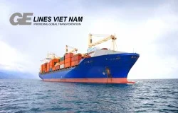 Vận Tải Pacific – Công Ty Cổ Phần Quốc Tế Thái Bình Dương