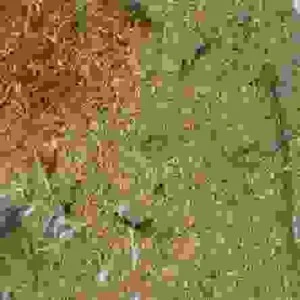 Công Ty CP Sản Xuất Và Phân Phối SHA Việt Nam