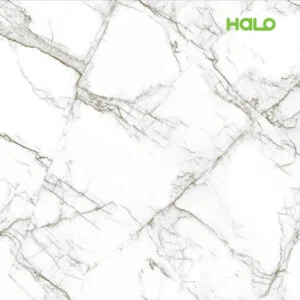 Gạch Men Halo Group – Công Ty TNHH Halo Group
