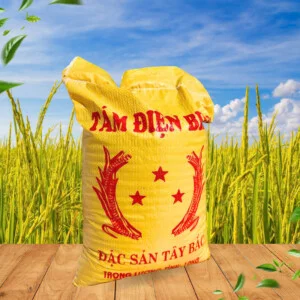 Gạo Đại Việt – Công Ty Cổ Phần Đầu Tư Thương Mại Dịch Vụ Xuất Nhập Khẩu Đại Việt