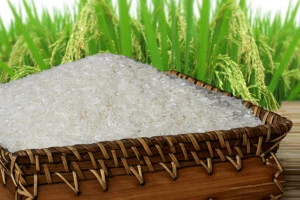 Hợp Tác Xã Lương Thực Thái Hùng