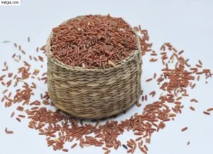 Nông Sản Gia Sơn Phát – Công Ty TNHH Thương Mại Dịch Vụ Gia Sơn Phát