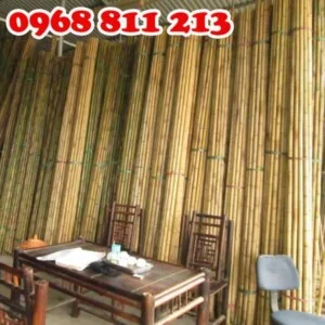 Cọc Tre Lộc Phát – Công Ty TNHH Thương Mại Và Dịch Vụ Forbigsu Việt Nam