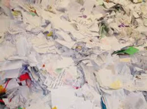 Giấy Phế Liệu Thành Đạt – Cơ Sở Giấy Phế Liệu Thành Đạt