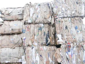 Giấy Phế Liệu Thành Đạt – Cơ Sở Giấy Phế Liệu Thành Đạt