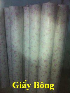 Bao Bì Nhựa Hải Trang – Công Ty TNHH Bao Bì Hải Trang