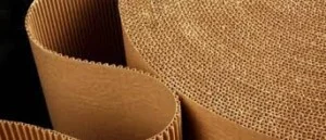 Giấy Tân Kim Ngân – Công Ty TNHH Giấy Tân Kim Ngân