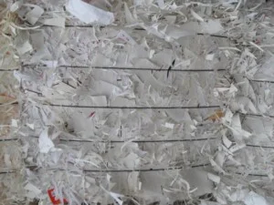 Công Ty TNHH Tiến Thành Sài Gòn