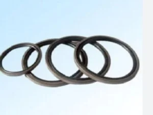 Gioăng Phớt Bokyung – Công Ty TNHH Thiết Bị Kỹ Thuật Bokyung Plastic