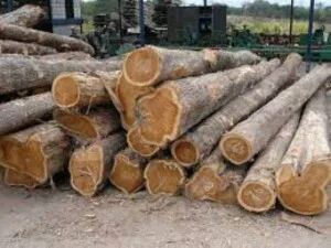 Công Ty TNHH Gỗ Nhật Thành
