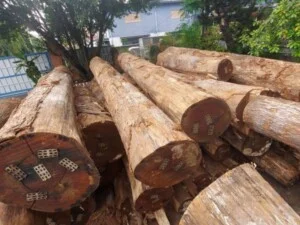 Công Ty TNHH Gỗ Nhật Thành