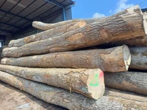 Công Ty TNHH Gỗ Nhật Thành