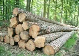 Gỗ Trường An – Công Ty Cổ Phần Đầu Tư Quốc Tế Trường An