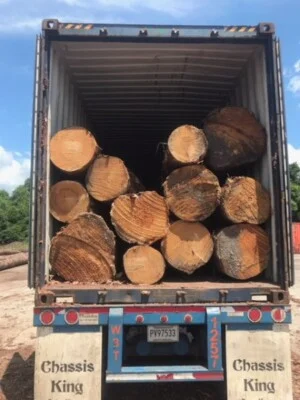 Công Ty TNHH Dịch Vụ Trực Tuyến Việt