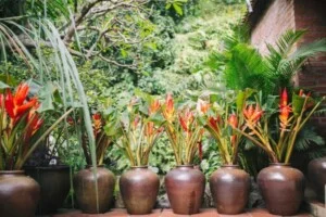 Gốm Mỹ Nghệ, Gốm Kiến Trúc Bát Tràng – Công Ty Cổ Phần Không Gian Gốm Việt