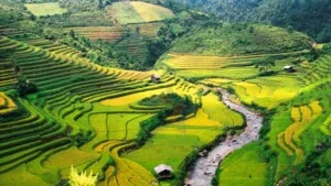 Công Ty TNHH TM Và DV Linh Việt Travel