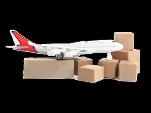 Chuyển Phát Nhanh Vi Minh – Công Ty TNHH Dịch Vụ Xuất Nhập Khẩu Vi Minh