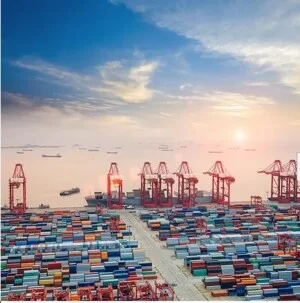 Vận Tải Hazel Wrights Việt Nam – Công Ty TNHH Hazel Wrights Việt Nam