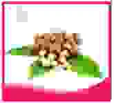 Công Ty TNHH Thương Mại Và Đầu Tư Xuân An