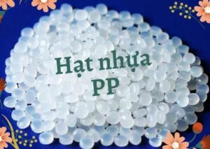 Công Ty CP Kanetora Việt Nam