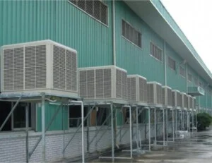 Công Ty TNHH Điệp Tiến Phát
