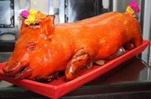 Đặt Heo Quay  /Heo Sữa Quay / Cơ Sở Heo Quay Lê Thưởng