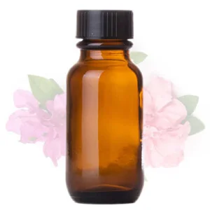 Công Ty TNHH Hương Liệu Và Gia Vị Bạch Cúc