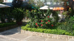 Khách Sạn Sơn Trà 1