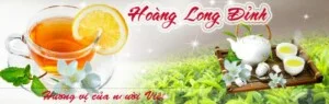 Công Ty TNHH Một Thành Viên Thương Mại Dịch Vụ Hoàng Long Đỉnh