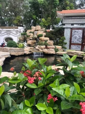 Công Ty TNHH Sân Vườn Việt Hoa Viên