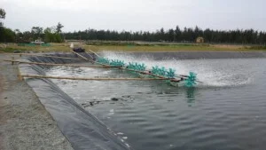 Công Ty TNHH Hải Nam Việt