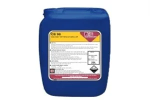 Công Ty TNHH NCL (Á Châu)