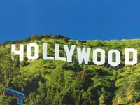 Công Ty TNHH Du Lịch Cánh Chim Việt