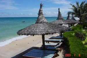 Nam Phương – Công Ty TNHH Thương Mại Tiếp Thị Dịch Vụ Du Lịch Nam Phương (Thương Hiệu NP TOUR)
