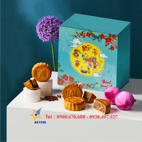 Bao Bì Giấy Sao Băng – Công Ty TNHH Thương Mại Dịch Vụ Công Nghệ Sao Băng