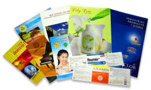 Công Ty TNHH Một Thành Viên Kiến Ngân