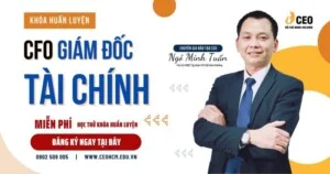 Công Ty Cổ Phần Thương Mại Dịch Vụ CVG Hồ Chí Minh