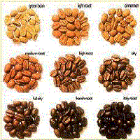 Công Ty TNHH Thương Mại Dịch Vụ Và Phát Triển Thiên An Phát